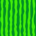 Watermelon green rind seamless pattern