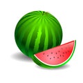 Watermelon green on a white background