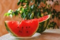 Watermelon, half, piece, berry, delicious, summer, pleasure, enjoyment