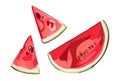 Watermelon half and slices. Red watermelon piece with bite. Illustration of watermelon freshness nature. Cartoon style