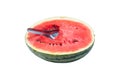 Watermelon half Then use a spoon to eat.