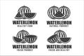 Watermelon healthy food vector designn logo collection