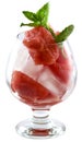 Watermelon and ice Royalty Free Stock Photo