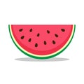 Watermelon icon in flat style