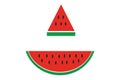 Watermelon icon in half style on a white background Summer symbol for app or logo or design or website of quality assembly vector