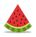 Watermelon icon vector illustration
