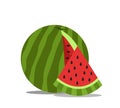 Watermelon icon vector illustration