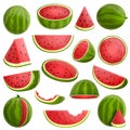 Watermelon icons set, cartoon style