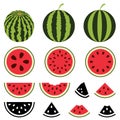 vector watermelon icons set