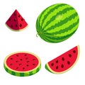 Watermelon icons set, isometric style