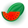 Watermelon illustration.