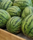 watermelon Royalty Free Stock Photo