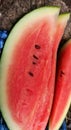 Watermelon india Royalty Free Stock Photo