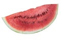 Watermelon isolated Royalty Free Stock Photo