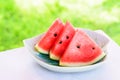 Watermelon isolated on green grass background Royalty Free Stock Photo
