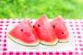 Watermelon isolated on green grass background Royalty Free Stock Photo
