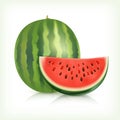 Watermelon isolated on white background. Vector image