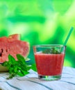 Watermelon juice glass closeup view, blur green nature background