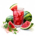 Watermelon juice and slices of watermelon on a white background. Berry smoothie and melon