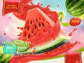 Watermelon juice. Sweet fruits. 3d vector