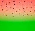 Watermelon juicy background. Ideal for tumbler wrap.