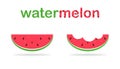 Watermelon juicy fruit icon. Illustration of summer in tropical pattern. Sweet slice of melon. Isolated watermelon with Royalty Free Stock Photo