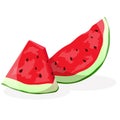 Watermelon. Juicy slice, Red watermelon vector illustration in flat cartoon style. Summer food concept illustration