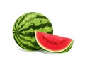 Watermelon with juicy sliced isolated on white background in cartoon style design. Organic summer delicious dessert