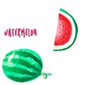Watermelon juicy watercolor summer art