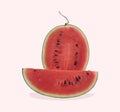 watermelon, melon, watermelon cut in half, red watermelon, fruit Royalty Free Stock Photo