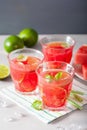 Watermelon lemonade with lime and mint, summer refreshing drink Royalty Free Stock Photo