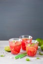 Watermelon lemonade with lime and mint, summer refreshing drink Royalty Free Stock Photo