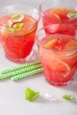 Watermelon lemonade with lime and mint, summer refreshing drink Royalty Free Stock Photo