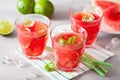 Watermelon lemonade with lime and mint, summer refreshing drink Royalty Free Stock Photo