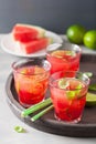 Watermelon lemonade with lime and mint, summer refreshing drink Royalty Free Stock Photo