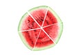 Watermelon lobules are lined in the form of a circle.