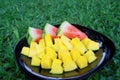 Watermelon and mango on a black plate in the grass Royalty Free Stock Photo