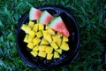 Watermelon and mango on a black plate in the grass Royalty Free Stock Photo