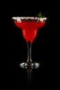 Watermelon margarita Royalty Free Stock Photo