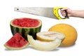 Watermelon and melon and hand with hacksaw