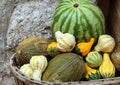 Watermelon, melons and different small squashes