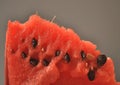 Watermelon Royalty Free Stock Photo