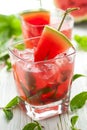 Watermelon Mojito