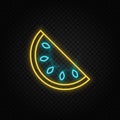 watermelon neon icon. Blue and yellow neon vector icon