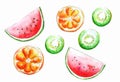 Watermelon, orange and kiwi slices. Royalty Free Stock Photo