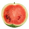 Watermelon ordinary. Gourd culture spherical shape