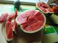 Watermelon ordinary lat. CitrÃÂºllus lanÃÂ¡tus is an annual herb, a species of the genus Watermelon Citrullus of the Pumpkin famil