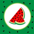 Watermelon pattern illustration vector summer fruit natural vegan fruit Royalty Free Stock Photo