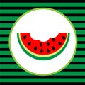 Watermelon pattern illustration vector summer fruit natural vegan fruit Royalty Free Stock Photo