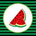 Watermelon pattern illustration vector summer fruit natural vegan fruit Royalty Free Stock Photo